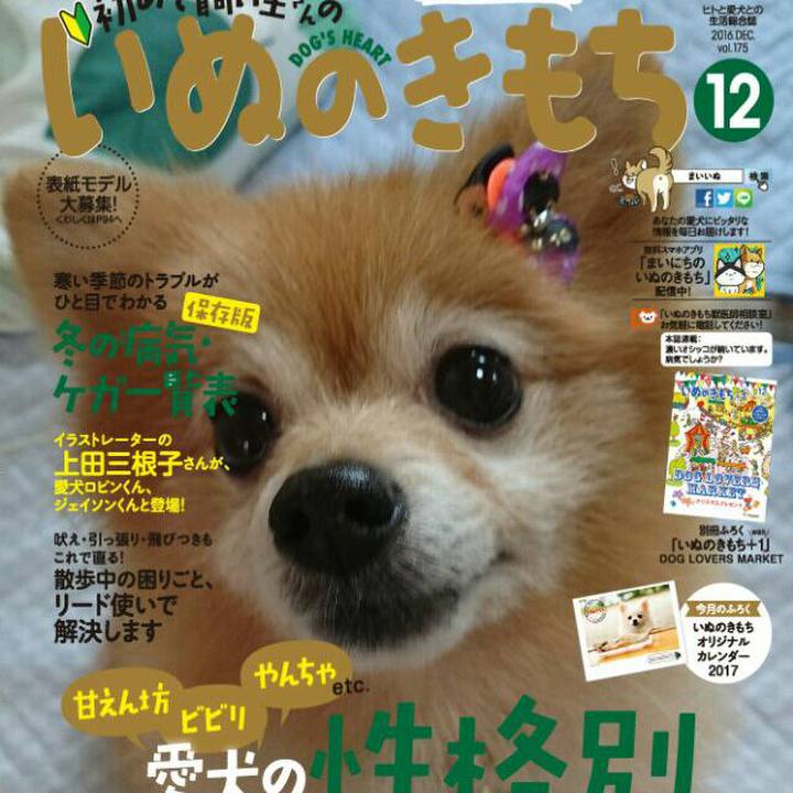 1b9452aa a56b 4d14 b25a 575aec491213