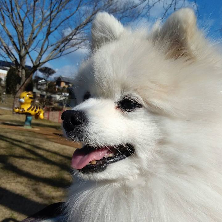 1b94ab43 1853 497e a739 6898870d0fff