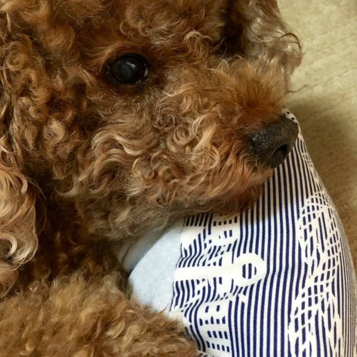 1b94e887 3ad8 49d1 bef0 59f201df977b