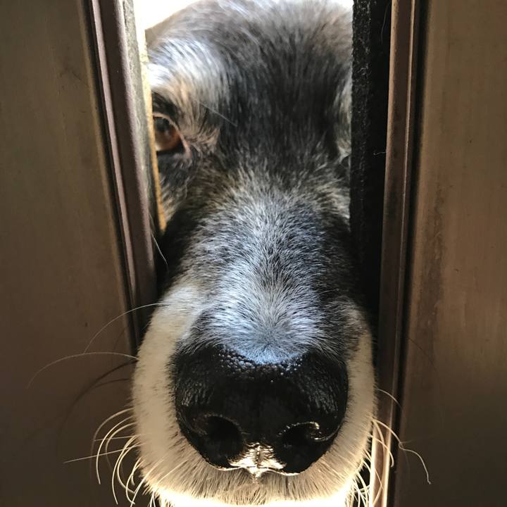 1b952a2a 2e6e 4eb5 b5e8 be599f53c3fd