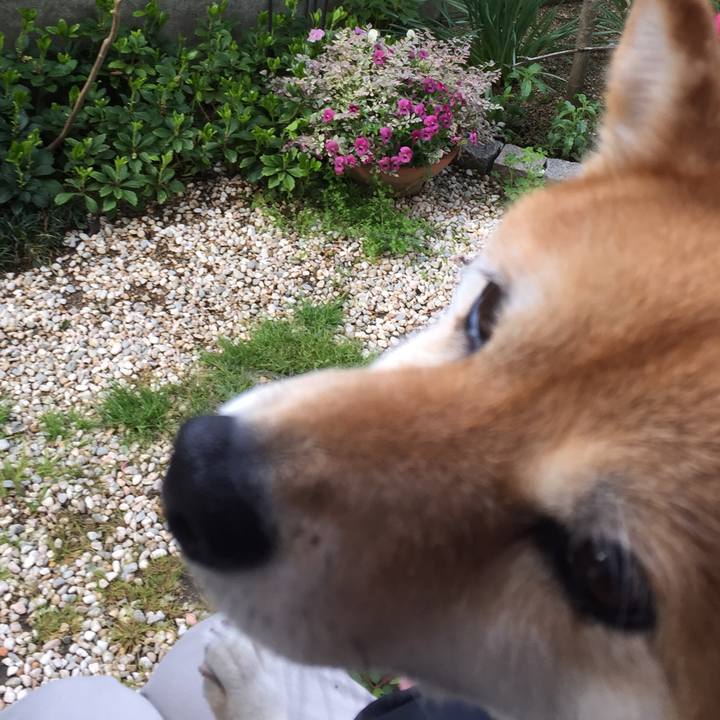 1b95a146 3d90 4564 acec a5611f2c7cb4