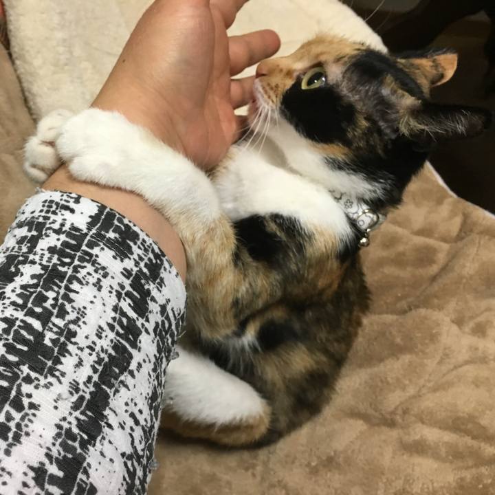 1b95b4e9 e8d8 4b5c 8eaf 8f1da14358c9