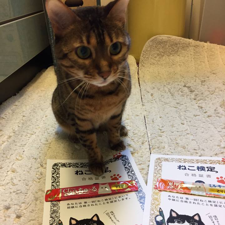 1b95b818 e1e5 4cd7 b2ab b929584b7d81