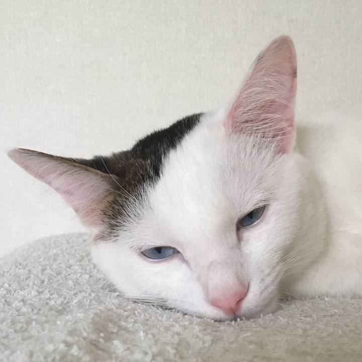 1b95c1fb e472 453d bcba a1adca958cbf