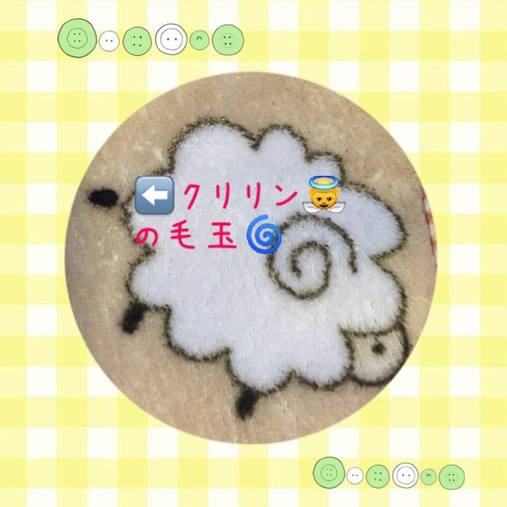 1b95d347 24aa 48f7 bc37 94825ea5e21c