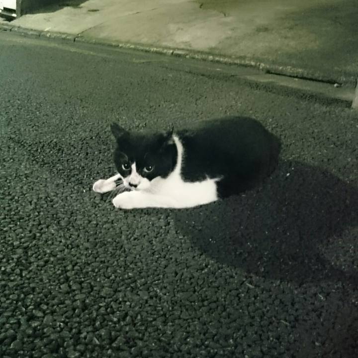 1b95e419 8800 4d9b bf0a 534439919e1f