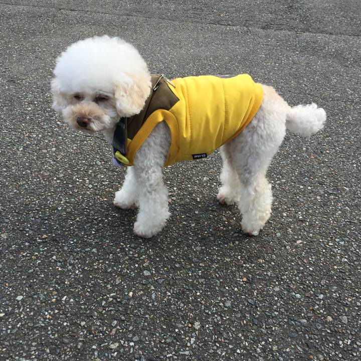 1b95e658 6507 49da abcb f5b6ae20de31