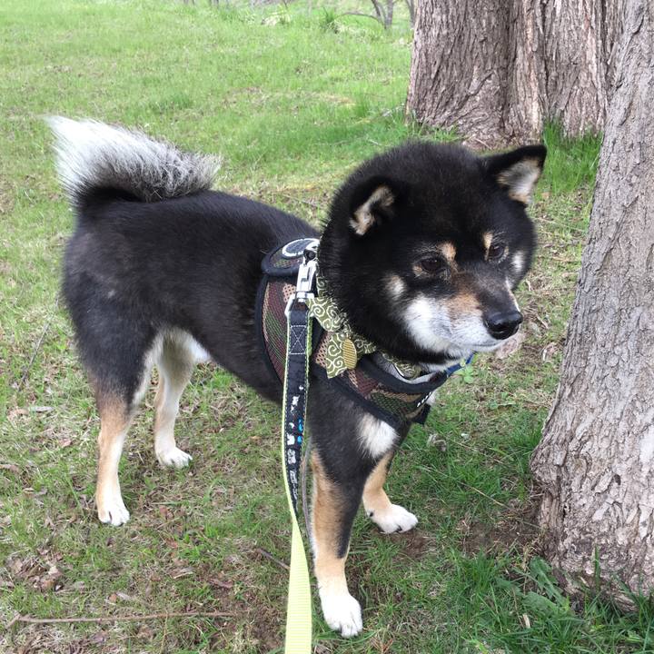 1b963d4a 38c4 4122 84ac 39705a2806fa