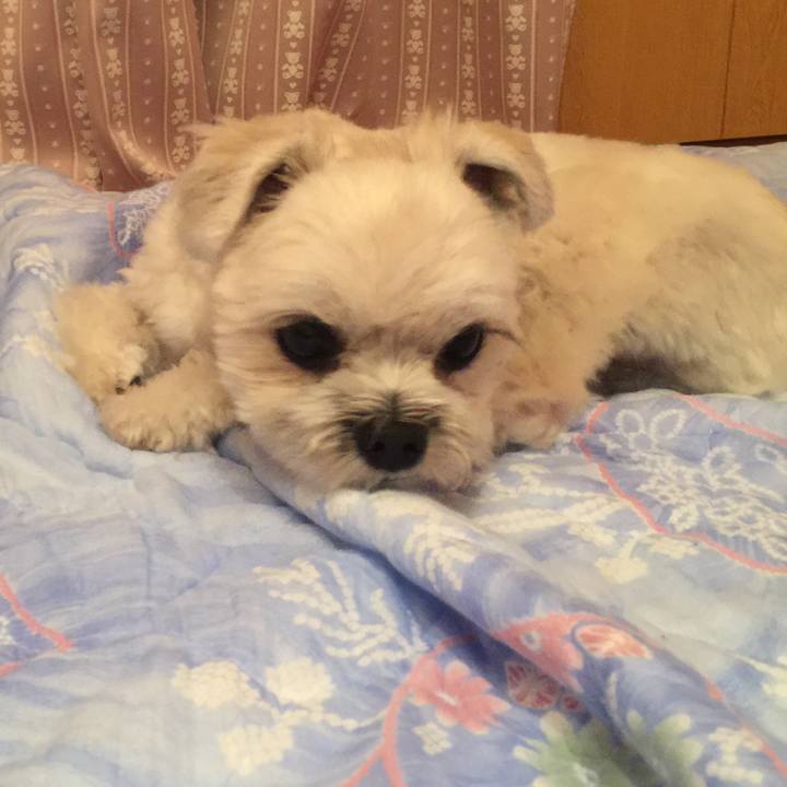 1b96b978 a233 4e66 944c 228a25523fda