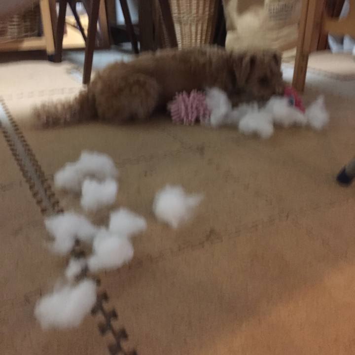 1b96c30f 19c9 4d44 b83b 340689ce0e86