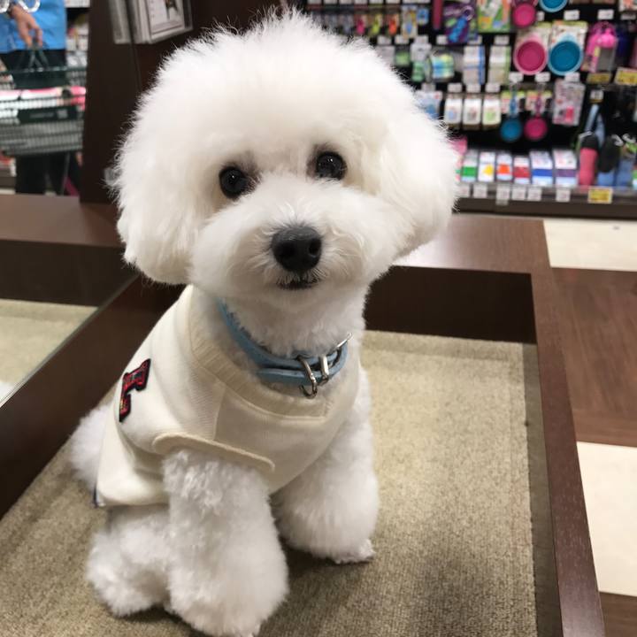 1b97087f 86ff 4a64 bf66 57dd6a4de7f0