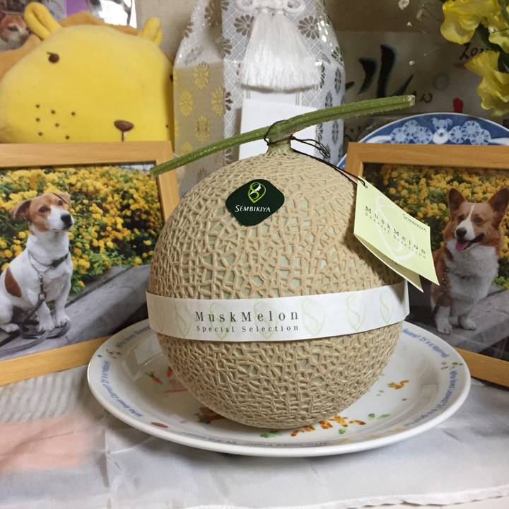 1b976f68 3bf5 44c7 b7b0 8844b5792ef0