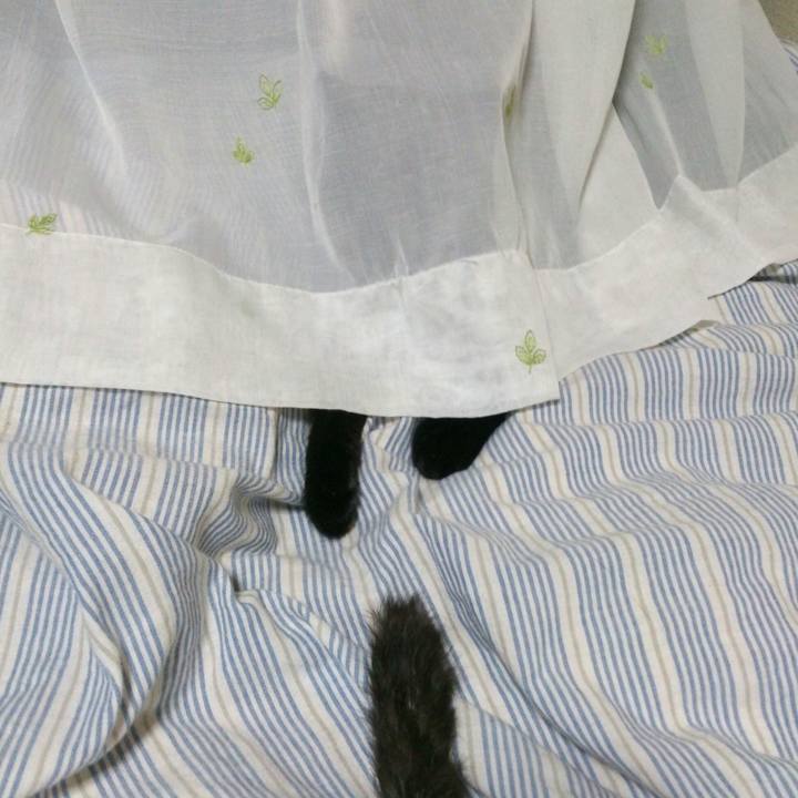 1b979f22 534d 4374 87e9 74629c5372e2