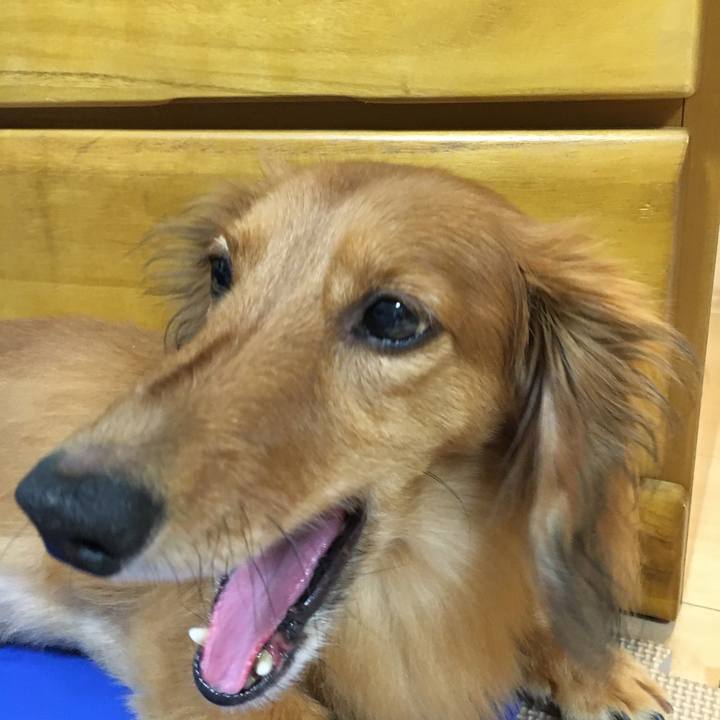 1b97e382 6f85 4baa b045 e25db565e856