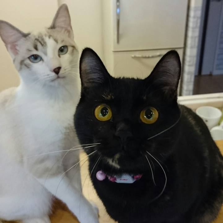 1b97e655 37cd 4955 8fa3 8efcdd9be47f