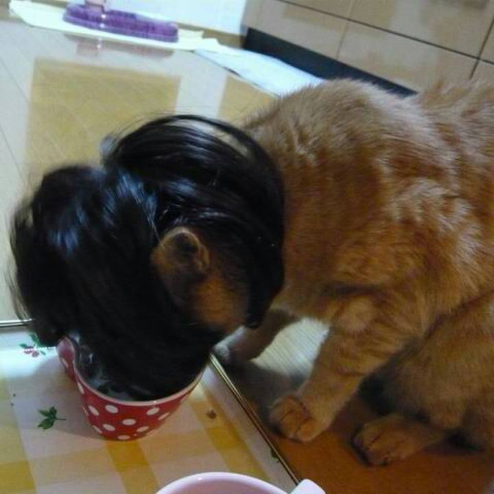 1b98c233 933a 4a29 8e4d 09b814a1f8b2