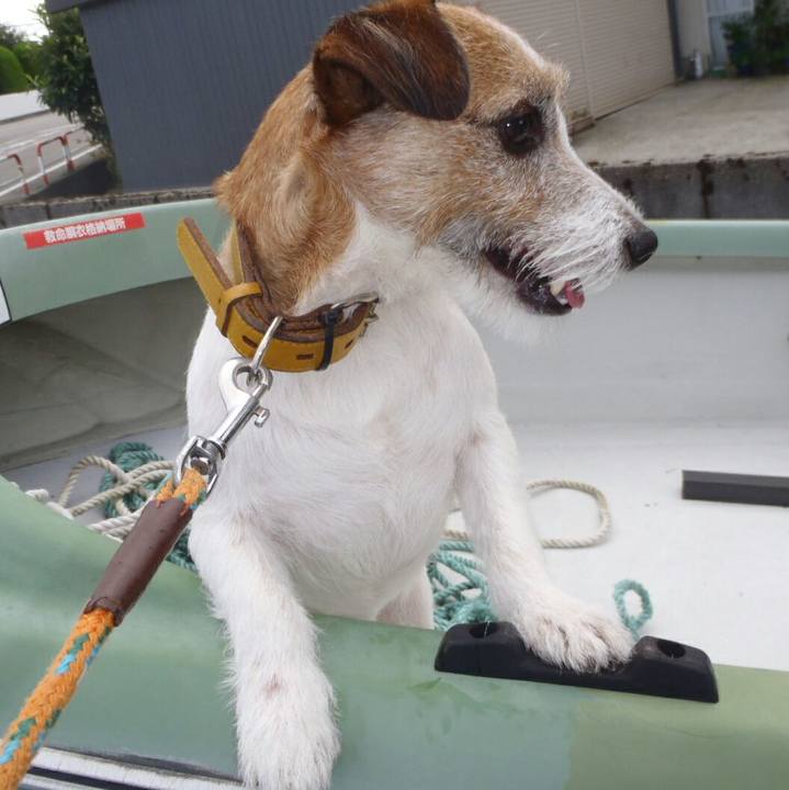 1b993c0c 816c 49b2 833d 0ad510c8fb0e