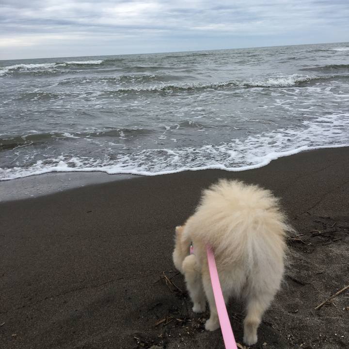 1b997162 ed1b 4b02 9d8d e125fd6bea90