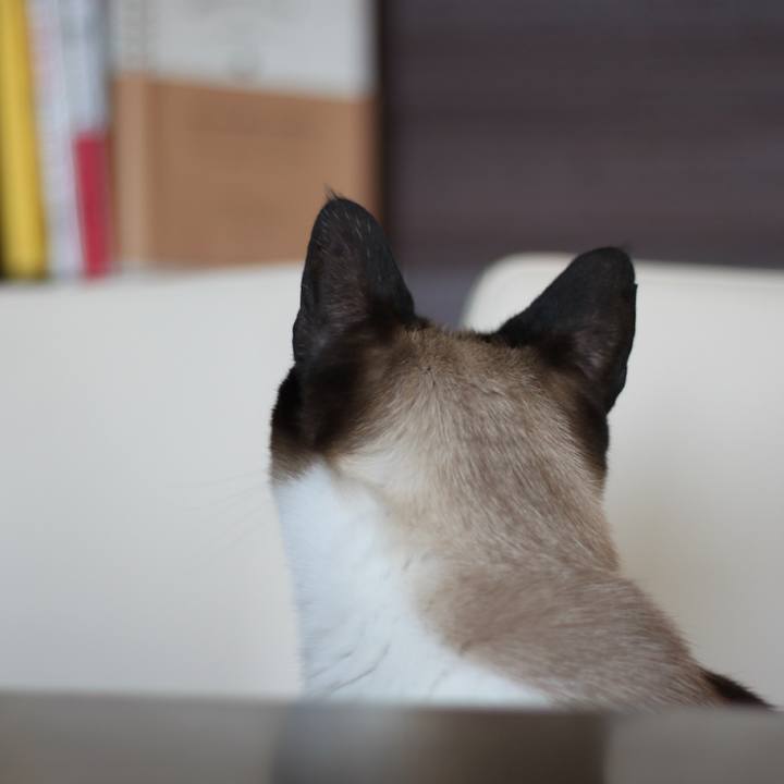 1b99a21c 8580 41a3 896c f35e247a2eac