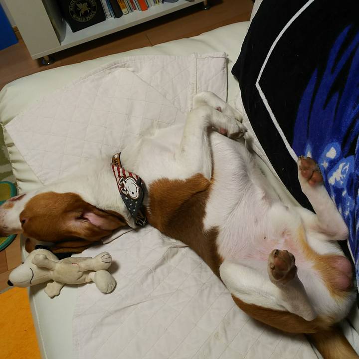 1b99d3f5 eb48 4106 8d23 58f18e77ca73