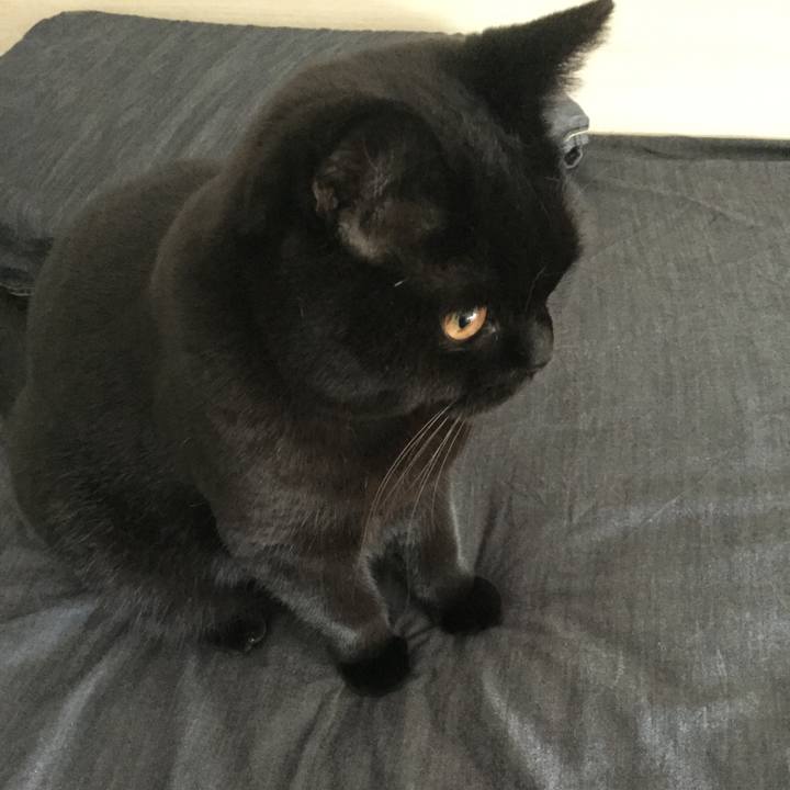 1b9a0ff6 65e5 41d1 a0a5 a75f0f0a1eb2