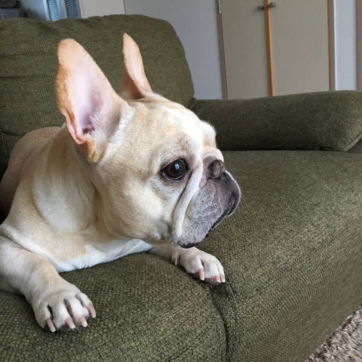 1b9a5057 4c43 4860 b717 9210b4907d67