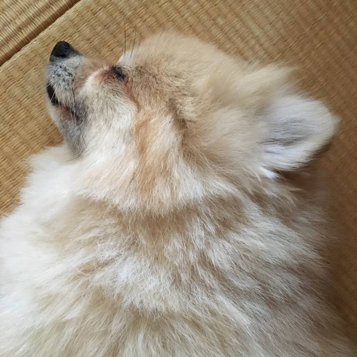 1b9a5f18 d2a4 467a bee1 e54aa0a0cffb