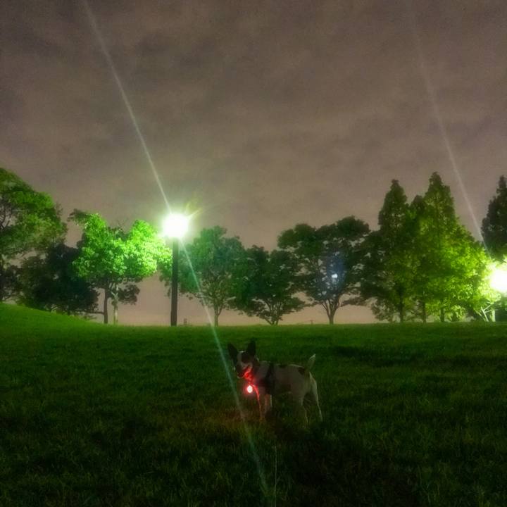 1b9b3f97 cc47 4b09 b6d8 3eb47dd5ebb8