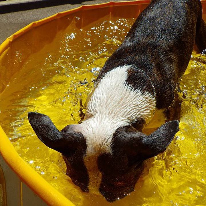 1b9b4556 7434 407c a4c7 84249875d83c