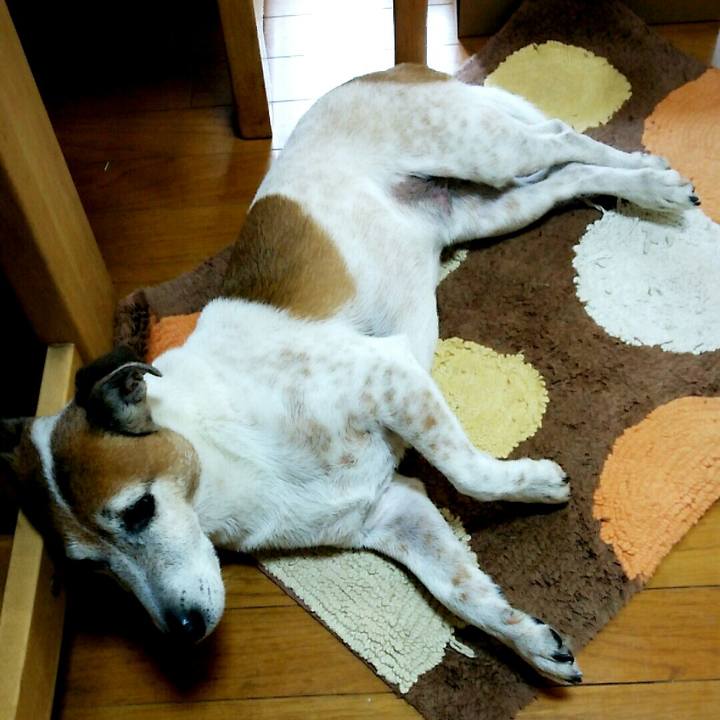 1b9bafe6 6a1c 4e88 96bd fc54b66ffcec