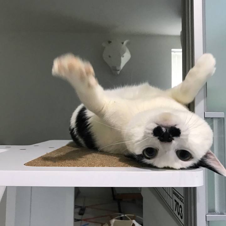 1b9bd6a1 b963 4f9f a25b 581dbec55077