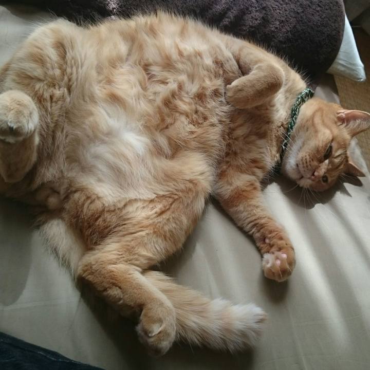 1b9beff4 4bed 40ae 9dc9 afaf0e7ba563