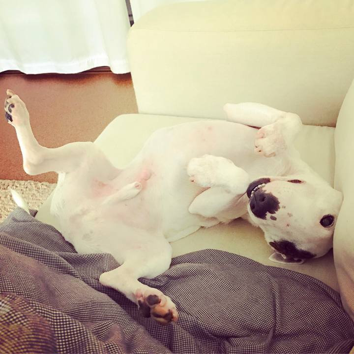 1b9bfa62 a2f1 4e69 86f0 73f995dac610