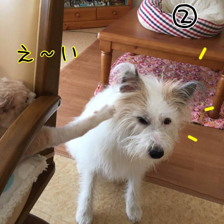 1b9ca646 f962 42ac ba97 a2167886f6d5