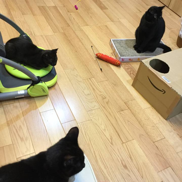 1b9d5ee3 a179 4851 8800 0d93b4954e01