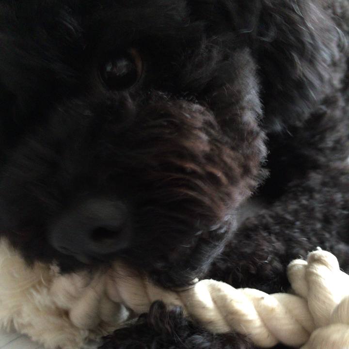 1b9d67c5 0c19 42fc a056 ac56a4cf985d