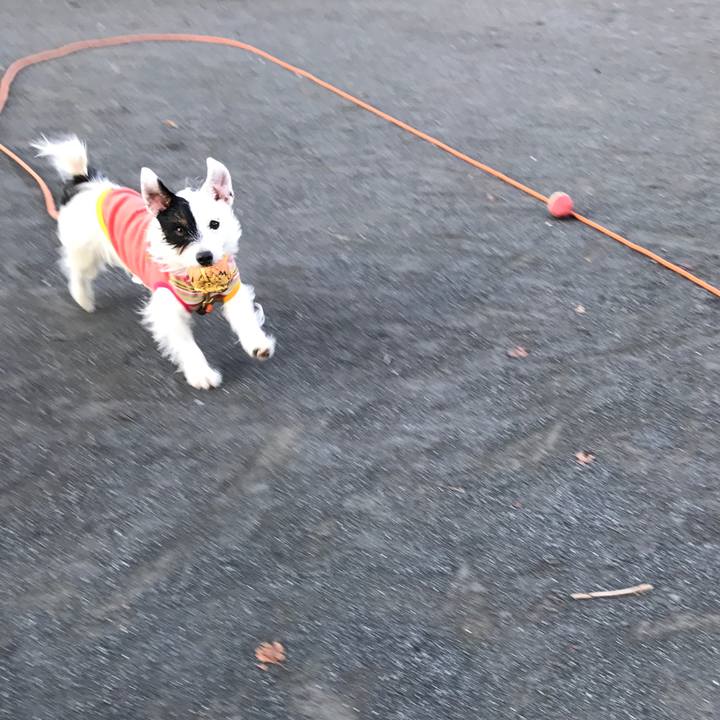 1b9d7762 c184 4901 93fc 7c7040cefd42