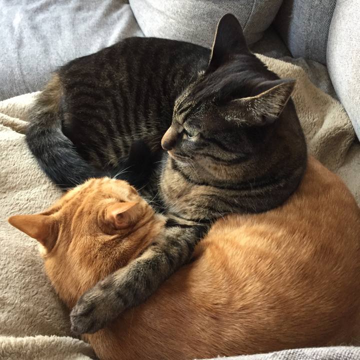 1b9e4fa6 cd65 4606 a9a9 7e6671bf1a9b