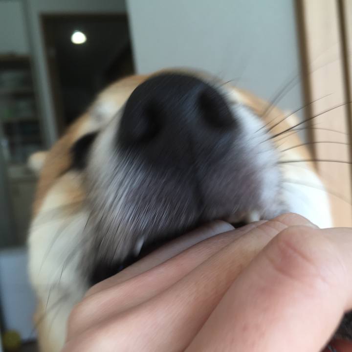 1b9f6285 f562 43c4 9593 148f0eadbfa0