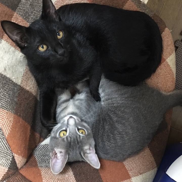 1b9faa07 f0fd 4214 9323 8460132f468d