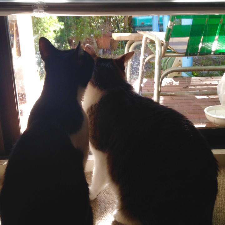 1b9fda53 51de 4457 8118 b7b8dec5921b