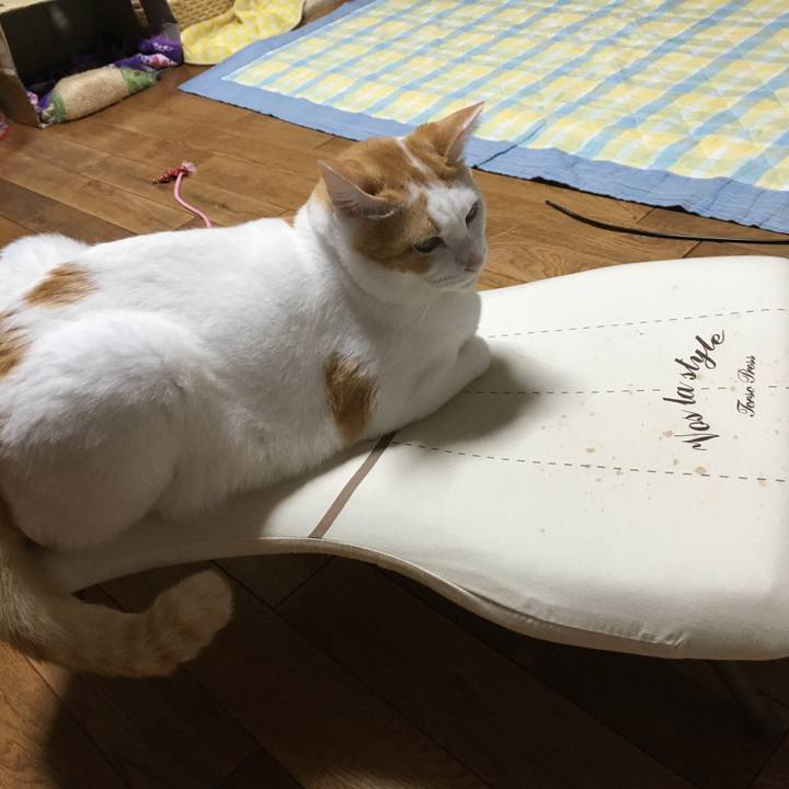 1ba07b0e 60f8 49f0 9fc6 cfae95c7a7d5