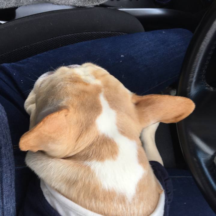 1ba0822e 69bb 4f58 9cac d9cca8b7e8de