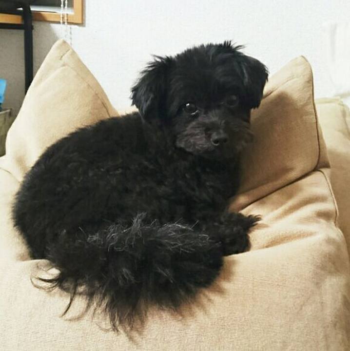 1ba0b969 4c6a 495b bf2c 1854e7af6c1a