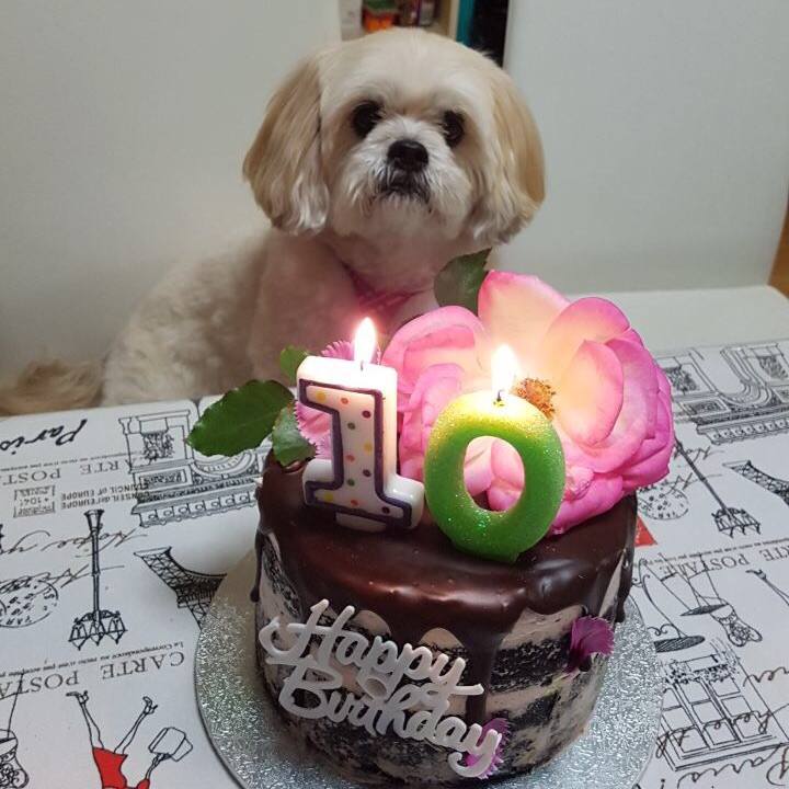 1ba0f79b a074 499f bbe2 530feca64250