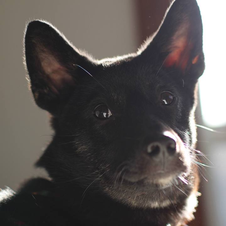 1ba1834a ccfe 4e6d 9cfe 19b7dcf9862c