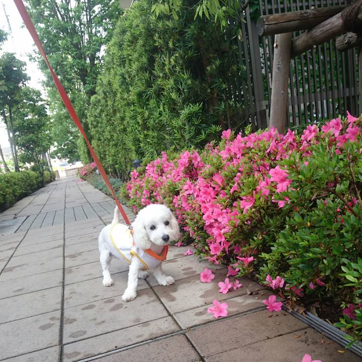 1ba1bd7e 6718 4c1d 83bb 04284049b01f