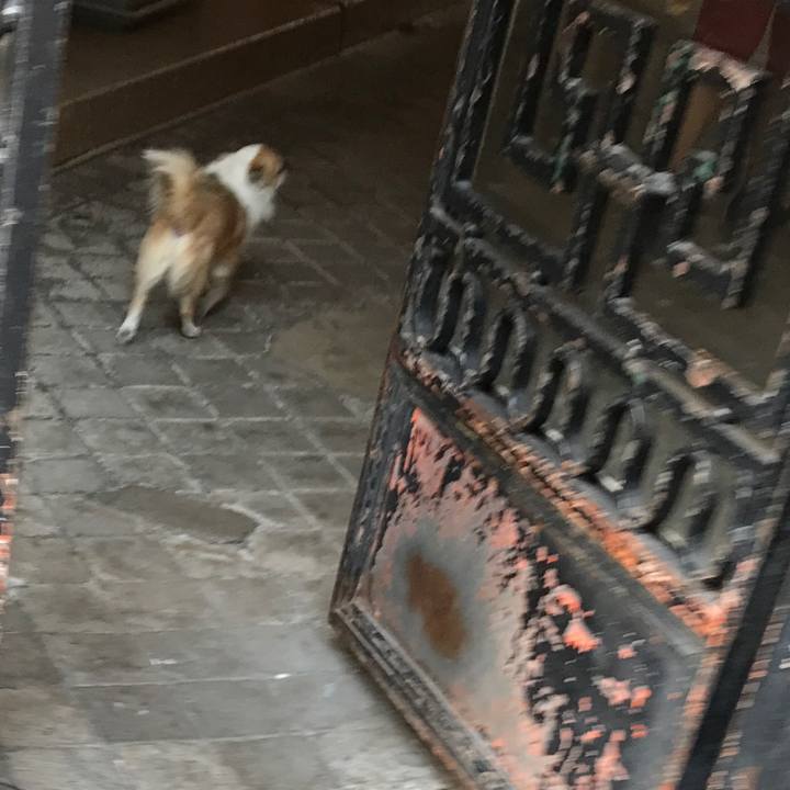 1ba1dbf1 3ef8 4a95 a456 7b090ebfba40