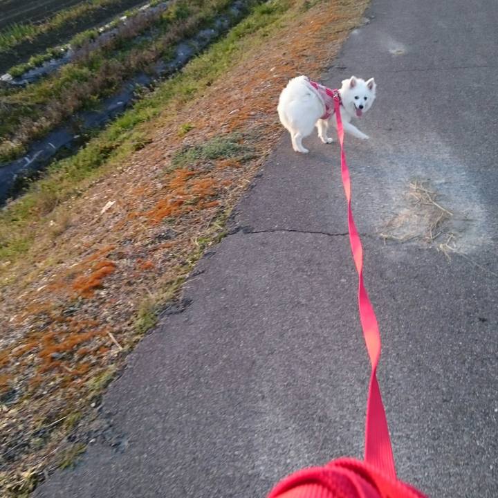 1ba26398 b52f 423a bdf9 321b945b1840