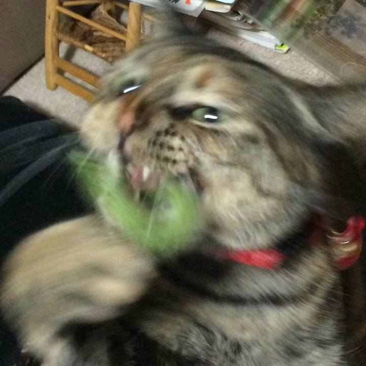 1ba2cc50 04fe 4113 8e89 9ac7943457d4